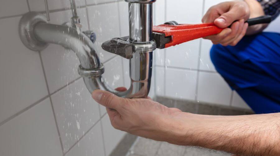 Professional Leak Detection services in Burr Oak, MI